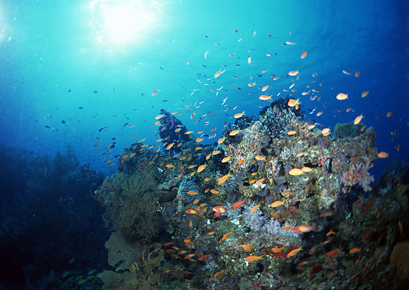 潛水有無身體條件和年齡限制？