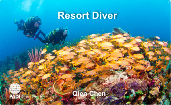 12/12正式上線！PADI 最新課程【休閑潛水員Resort Diver】 丨 一天拿證，潛遍全球