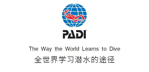 12/12正式上線！PADI 最新課程【休閑潛水員Resort Diver】 丨 一天拿證，潛遍全球