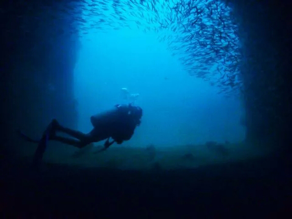 潛水拍照新姿勢，放下你的剪刀手，我們來這樣拍